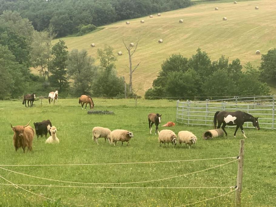 Gite A La Ferme Avec Jacuzzi Et Piscine Chauffee Saint-Felix-de-Tournegat 外观 照片